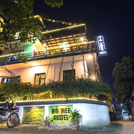 Big Tree Hostel Kathmandu Bagian luar foto